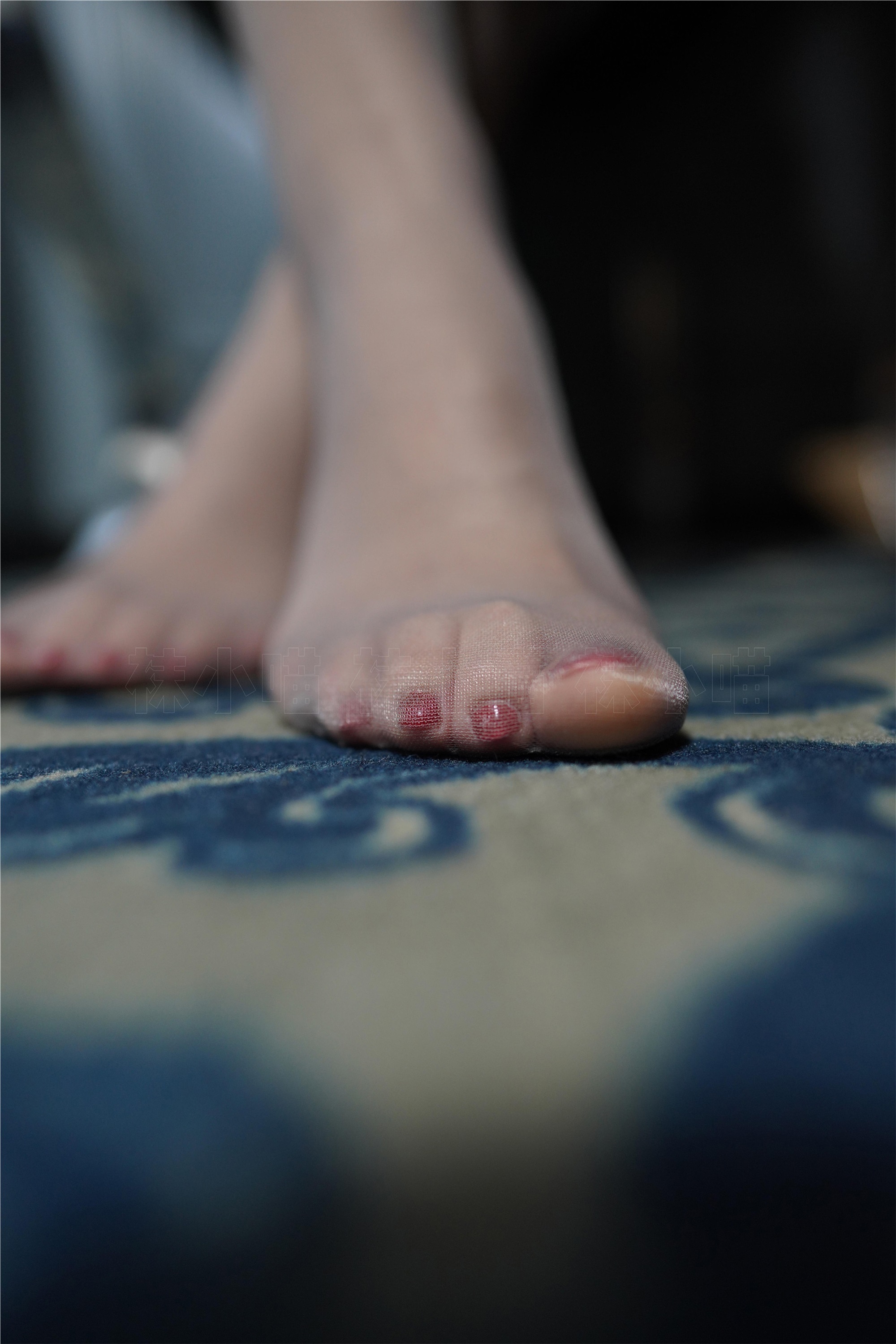 kittyWawa袜小喵  KT210 又见裤里丝